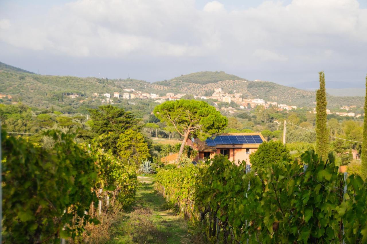 Agriturismo Colle Vento Suvereto Exterior photo